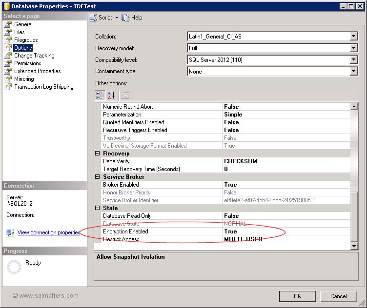 How to verify TDE encryption status